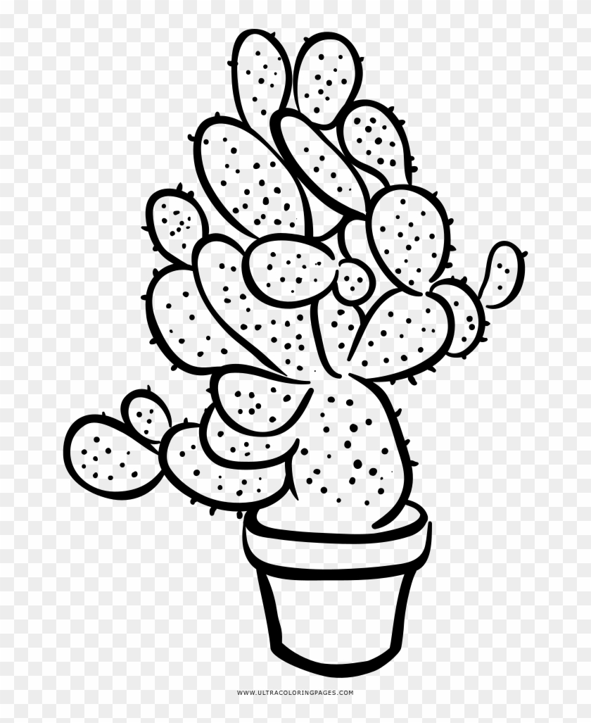 Succulent Coloring Page - Succulent Coloring Page #1676923