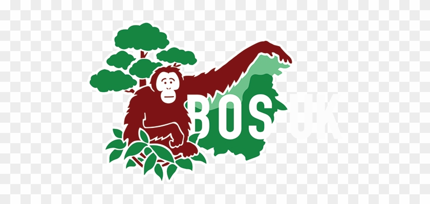 Borneo Orangutan Survival Uk - Bornean Orangutan Survival Foundation Logo #1676937