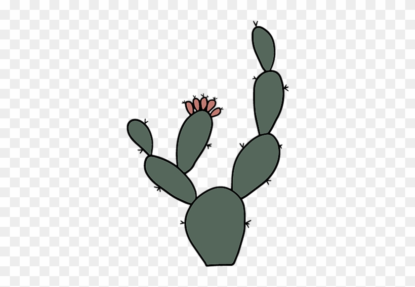Dbyt Prickly Pear Icon 8 - Dbyt Prickly Pear Icon 8 #1676948