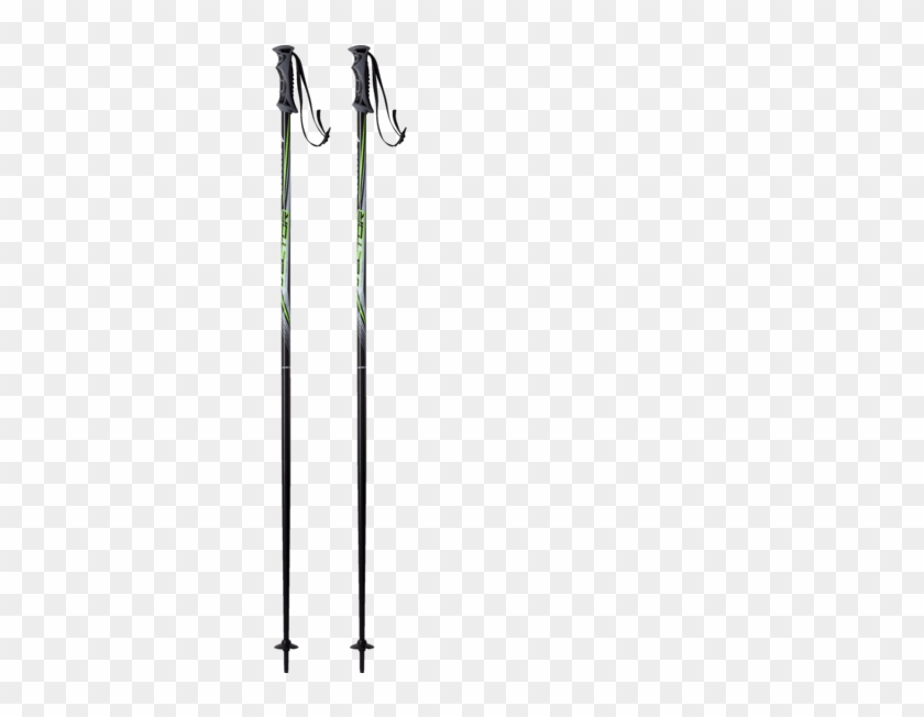 Ski Pole #1677034