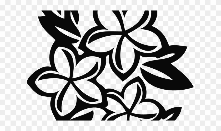 Black And White Line Art Source - Drawing Plumeria Flower #1677666