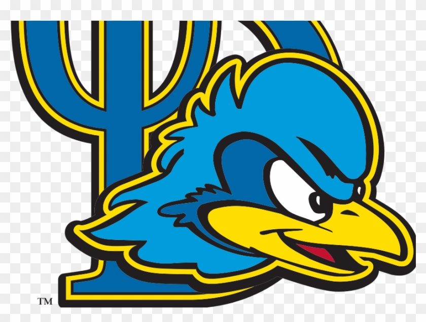 Brian Payne Hired As Delaware's Head Diving Coach - University Of Delaware Athletics Logo #1677815