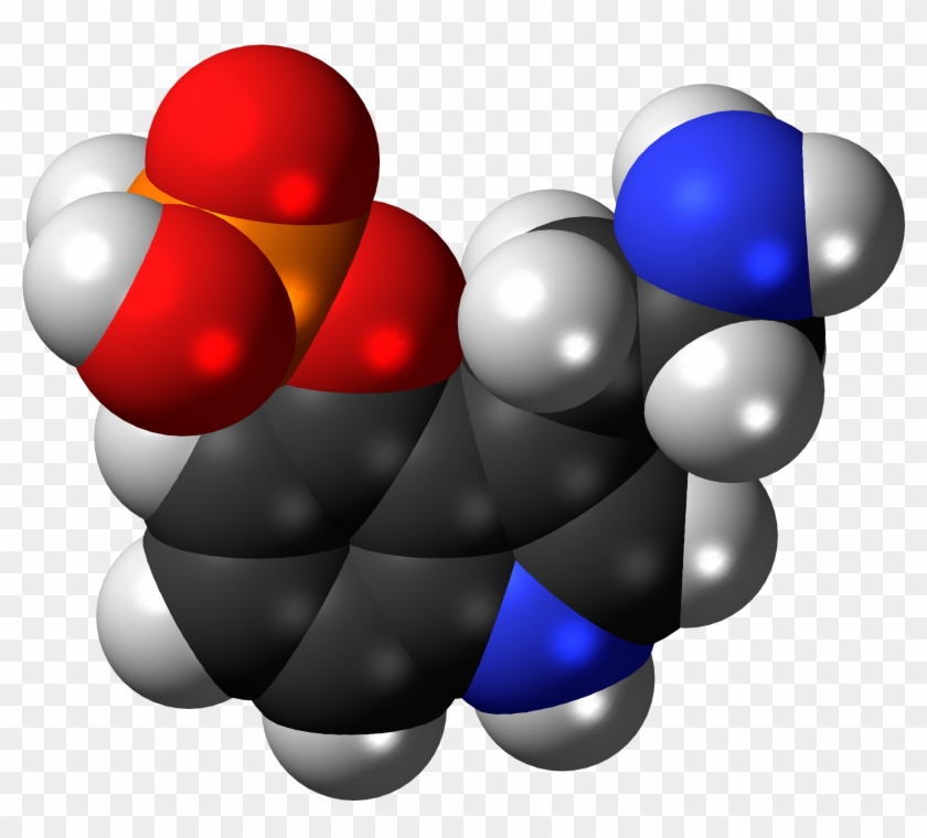 Norbaeocystin 3d Spacefill - Cura Contra El Alcoholismo #1678051