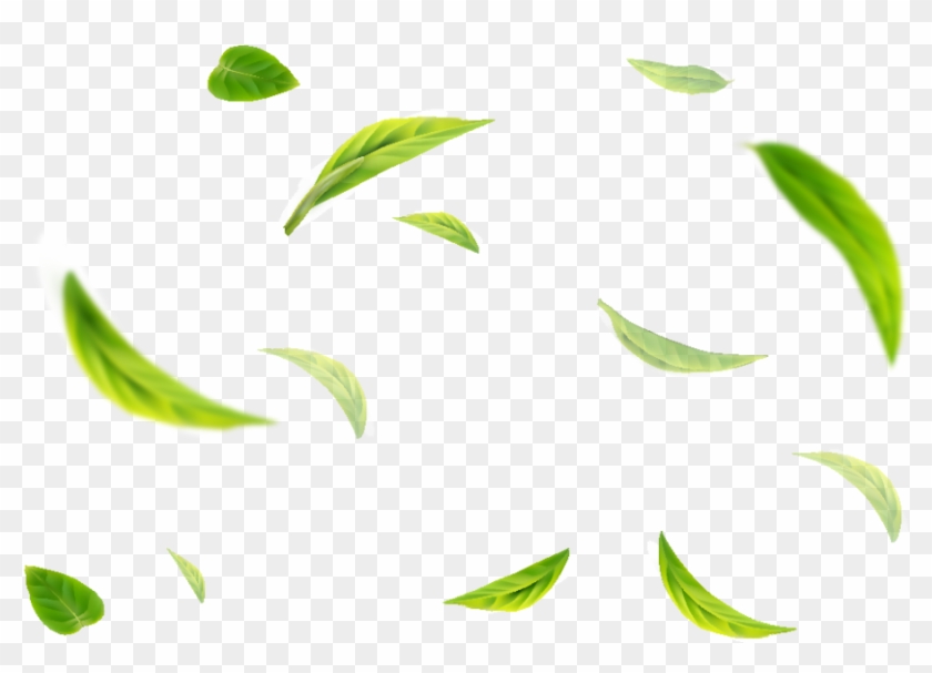 Green Tea Flavour - Green Tea Flavour #1678122