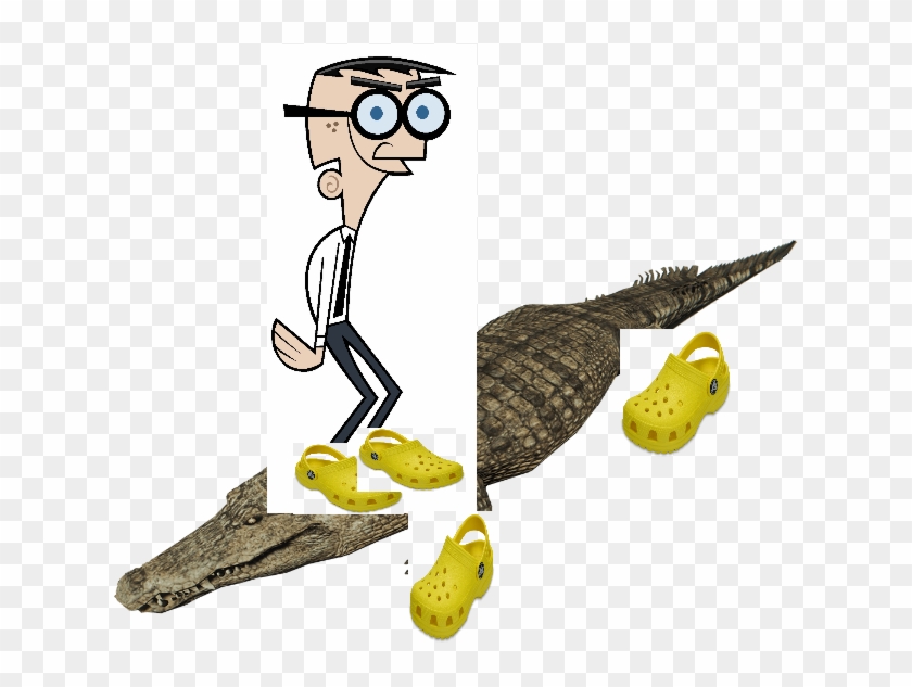 Crocker Wearing Crocs On A Crocodile Wearing Crocs - Crocodile Wearing Crocs #1678314