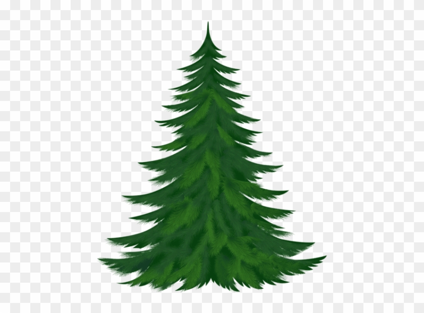 Download Transparent Pine Tree Png Images Background - Pine Tree Clipart Png #1678554