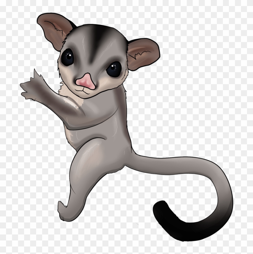 Sugar Glider Untuk Logo #1678603