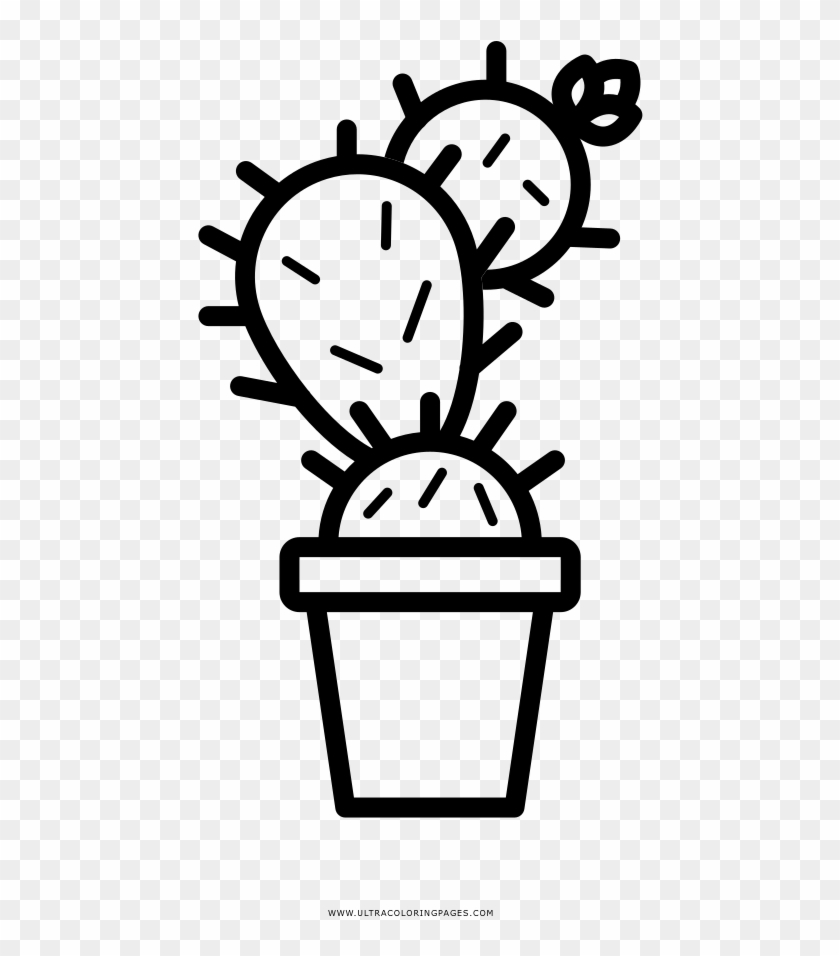 Potted Coloring Page - Illustration #1678781