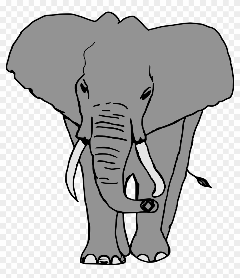 Clipart - Elefante - Elefante Clipart #1679084
