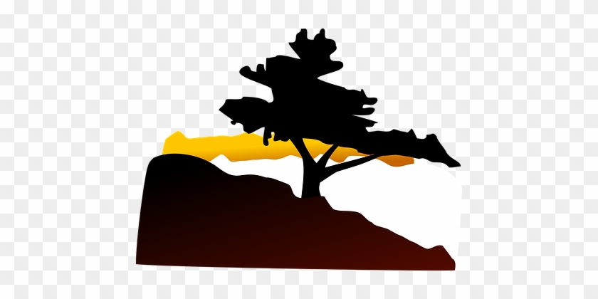 Tree, Hill, Sunset, Landscape, Twilight - Bonsai Tree Clip Art #1679321