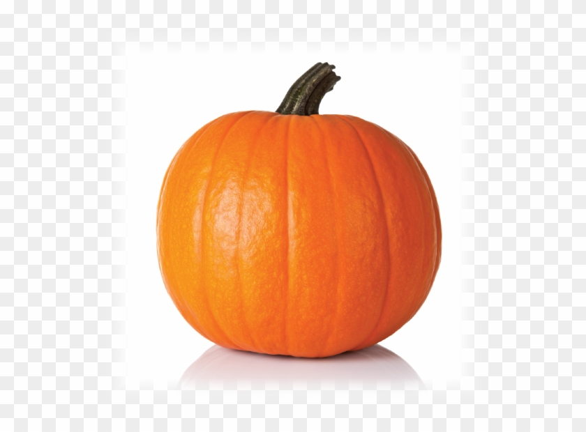 Pumpkin Images - Orange Pumpkin #1679382