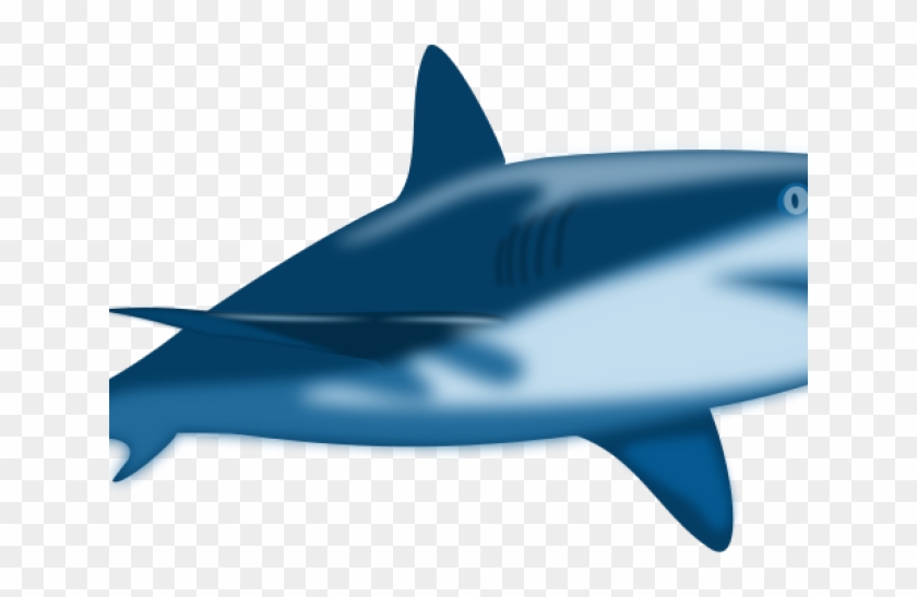 Great White Shark Clipart Baby - Shark #1679621