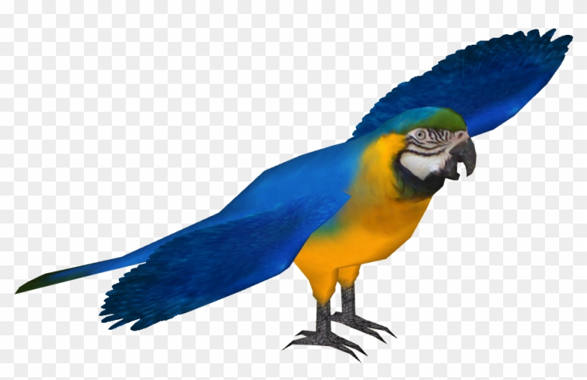 964 X 964 2 - Zoo Tycoon 2 Macaw #1679708