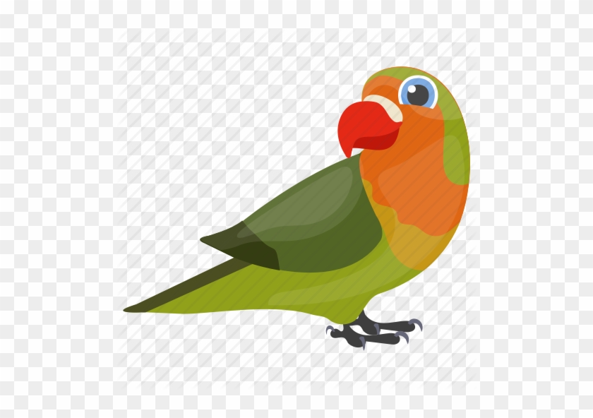 512 X 512 1 - Bird Pet Cartoon #1679712