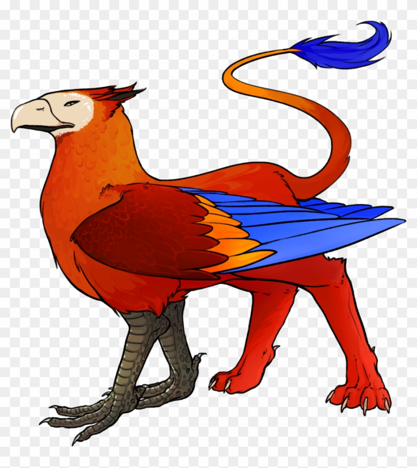 Gryphon Macaw Red - Chicken #1679734