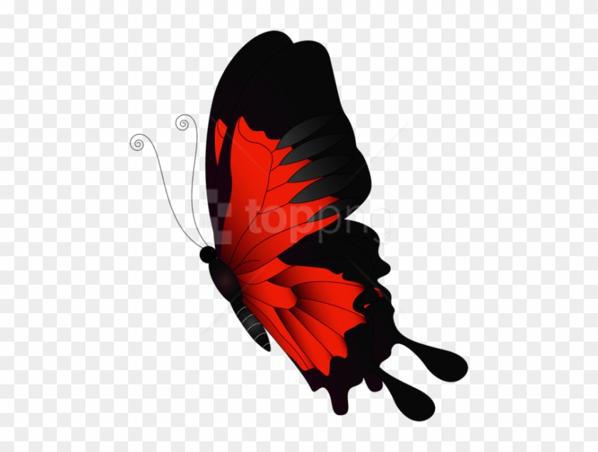Free Png Download Red Flying Butterfly Png Clipart - Purple Butterfly Clipart Flying #1679937