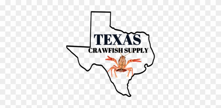 Live Texas Crawfish - King Crab #1680109