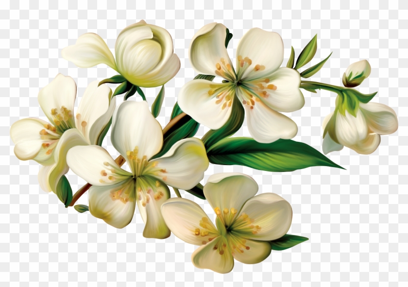 Blog - Cz - Flower #1680165