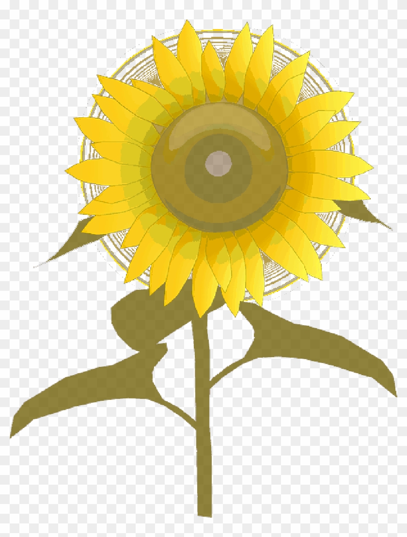 Plants Clipart Cute - Free Sunflower Clipart Transparent Background #1680441
