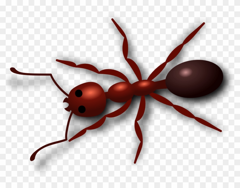 Red Ant Clip Art #1680477