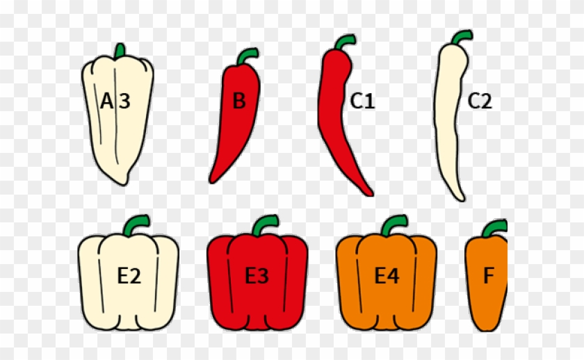 Plants Clipart Red Pepper - Plants Clipart Red Pepper #1680554