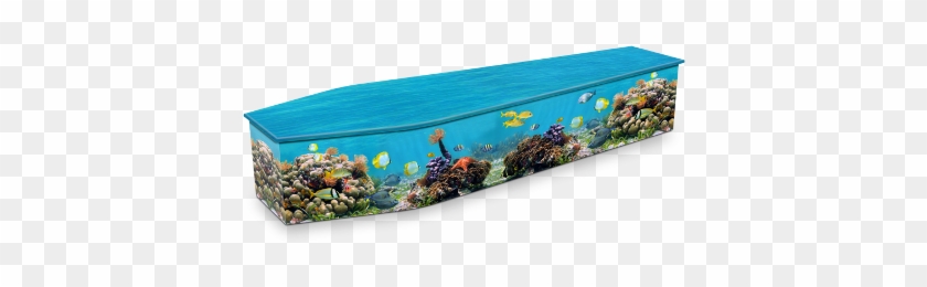 Coral Reef Coffin - Expression Coffins #1680724