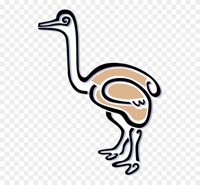 Vector Illustration Of Flightless African Ostrich Bird - Vector Illustration Of Flightless African Ostrich Bird #1680843