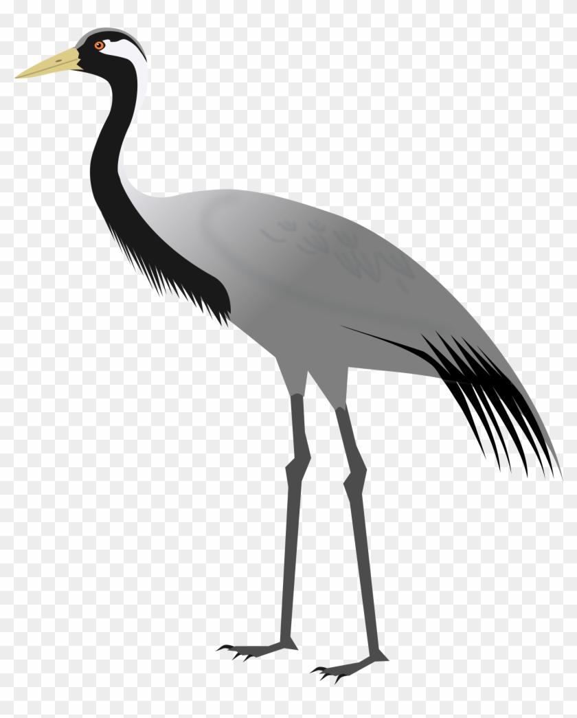 File Demoiselle Svg Wikimedia Commons Open - Demoiselle Crane #1680854