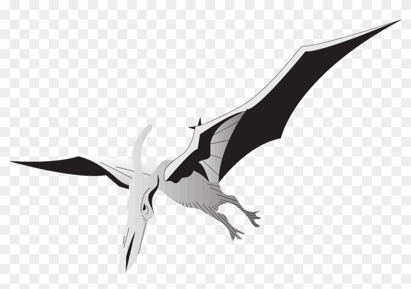 A Black And White Graphic Of A Pterodactyl In Flight - Pterodactyl Clipart Png #1681027