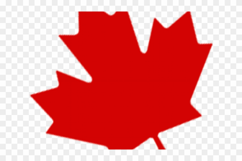 Canada Maple Leaf Png Transparent Images - Transparent Maple Leaf Png #1681091