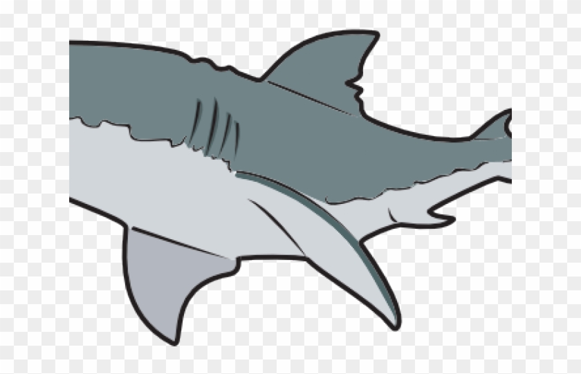 Great White Shark Clipart Tiger Shark - Clip Art #1681158