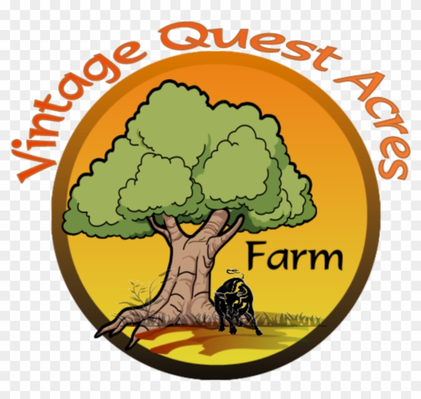 Vintage Quest Acres Is An Old - Illustration #1681169