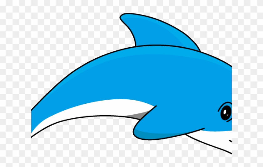 Fish Clipart Transparent Background - Clipart Dolphin #1681293