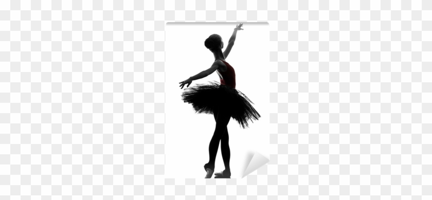 Young Woman Ballerina Ballet Dancer Dancing Silhouette - Dance #1681294