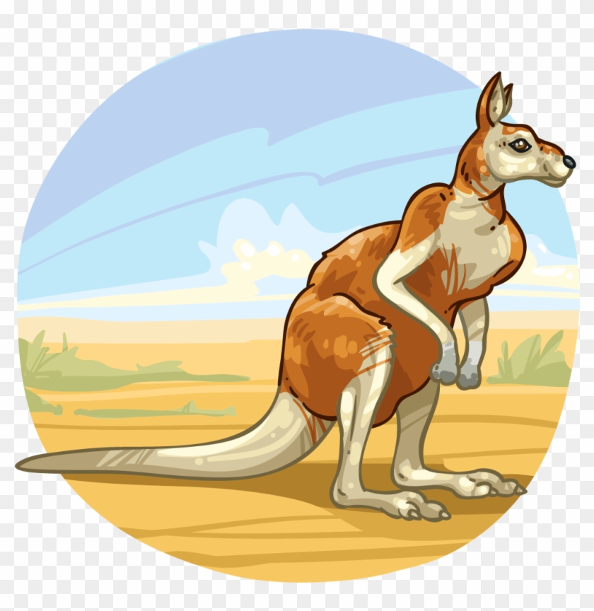 Down Under - Kangaroo #1681338