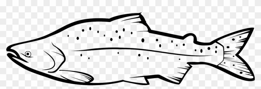 1000 X 296 8 - King Salmon Clipart Black And White #1681424