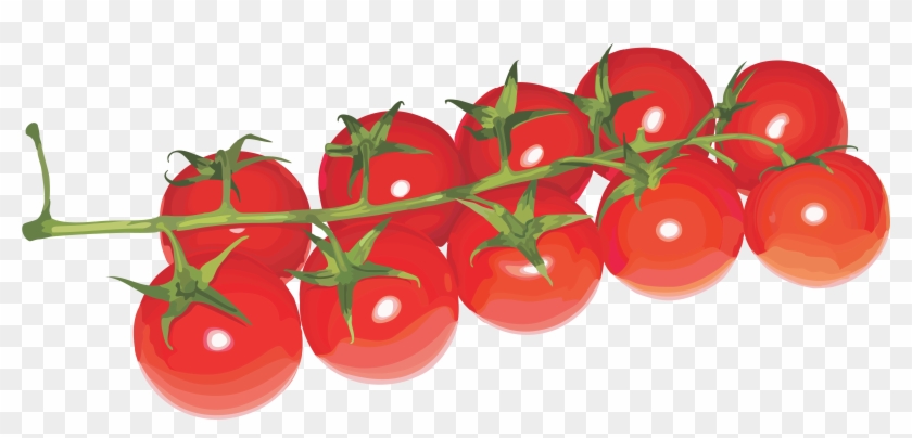 Red Tomatoes - Cherry Tomato Plant Png #1681659