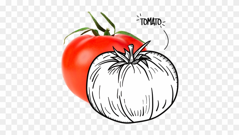 Tomaat - Cherry Tomatoes #1681668