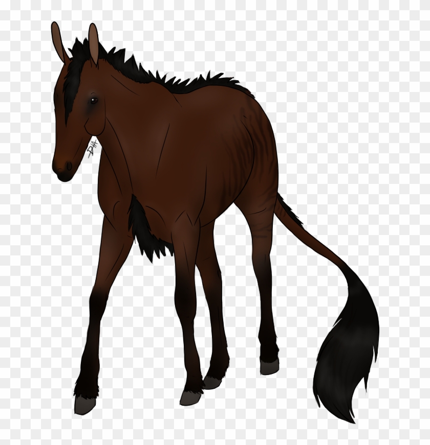 An Undersized, Crooked Legged Equid Named Seabiscuit, - Sorrel #1681753