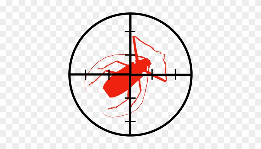 Target Bugs - Scope Sight #1681809