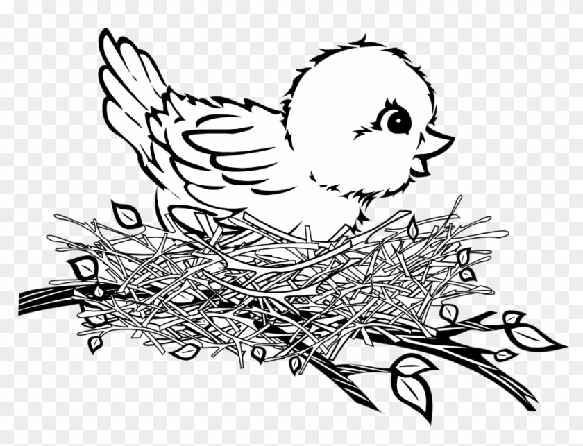 Bird In Nest Drawing #1681927