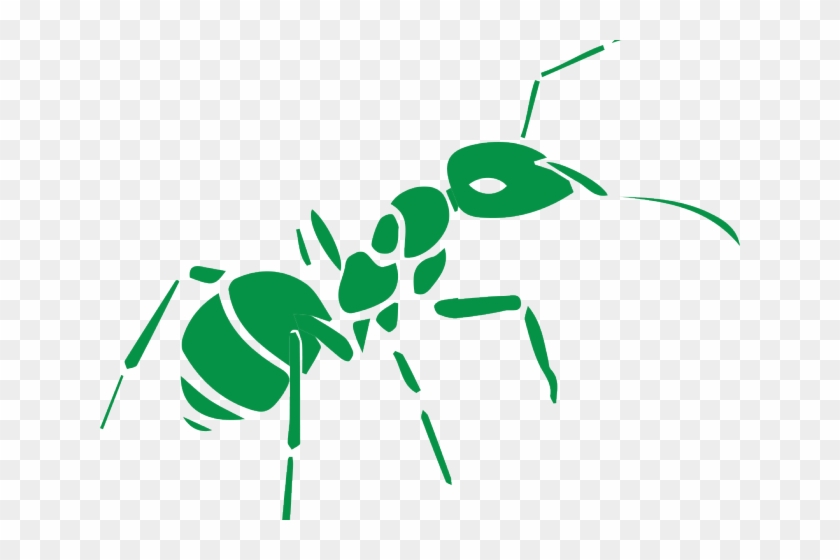 Ant Clipart Small Animal - Green Ant Png #1681984