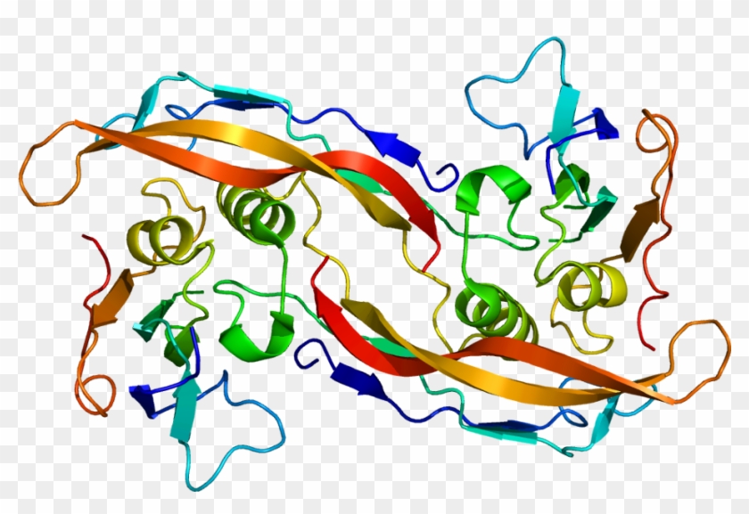 Bmpr1a - Anti Mullerian Hormone Crystal Structure #1682252