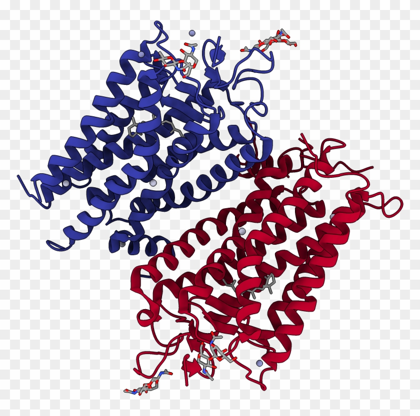 Chains Colored In Rainbow - Gif Of Protein #1682255