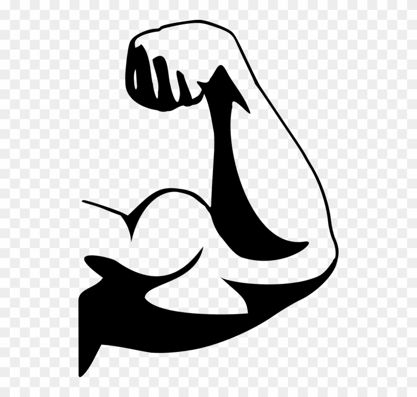 This High Quality Free Png Image Without Any Background - Biceps Png #258137