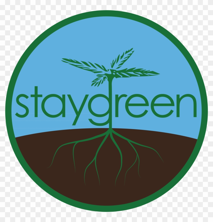 Deep Green Fest Ii - Stay Green #258860