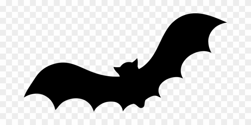 Animal Bat Fly Halloween Silhouette Bat Ba - Bat Decorations For Halloween #258963