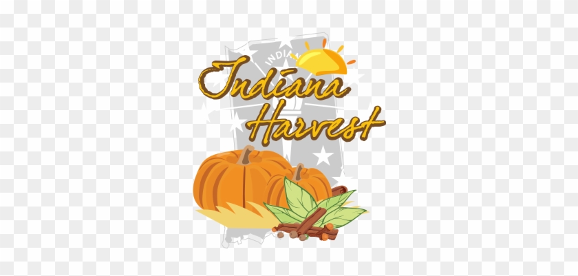 Indiana Harvest-pumpkin Spiced Black Tea - Pumpkin #259147