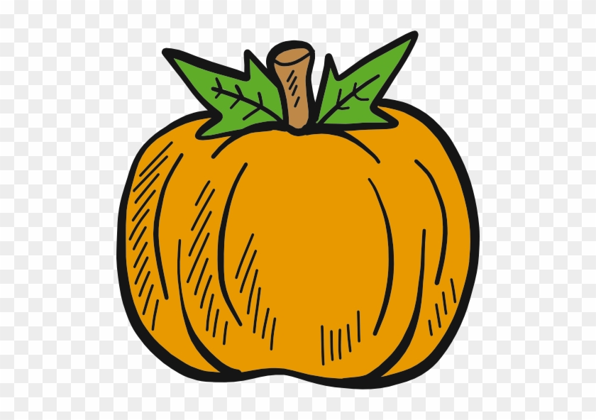 Why Choose Pumpkin Patch - Ewok #259378