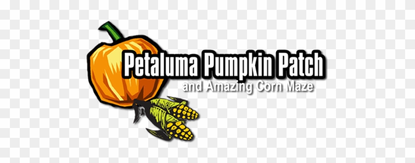 Petaluma Pumpkin Patch And Amazing Corn Maze 707 778 - Petaluma Pumpkin Patch 2017 #259379